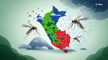 Dengue aumenta 31% en Perú con 38.800 casos y 42 fallecidos mientras especialistas alertan que El Niño podría agravar la propagación