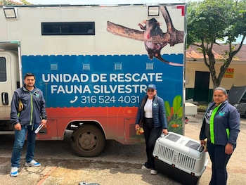 La CAR recuerda que existe una línea de atención disponible las 24 horas para reportar fauna silvestre en riesgo o abandono en el territorio colombiano - crédito CAR Cundinamarca