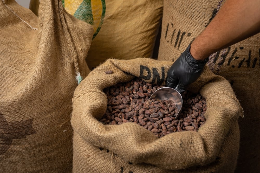 El cacao es uno de los productos que suma valor agregado a los productores. (Foto: Shutterstock)