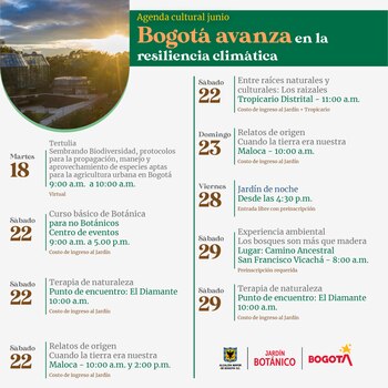 Los estudiantes tendrán tres semanas de receso, una excelente oportunidad para descansar - crédito Jardín Botánico