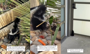 La molestia de Claudia Bahamón