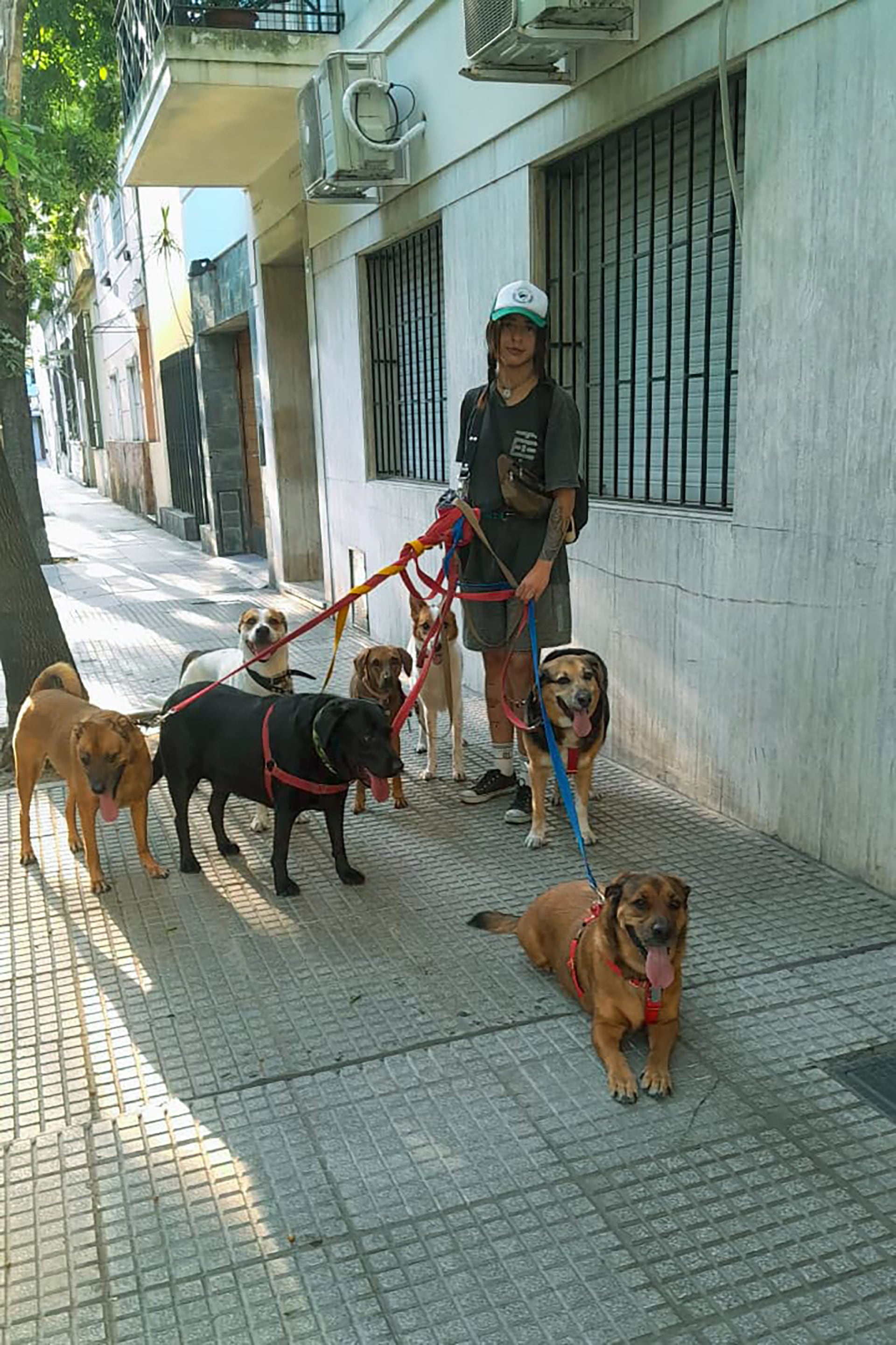 La certificación en oficios caninos, respaldada por la UBA y la Fundación EMPUJAR, permite acceder a herramientas técnicas y reconocimiento profesional