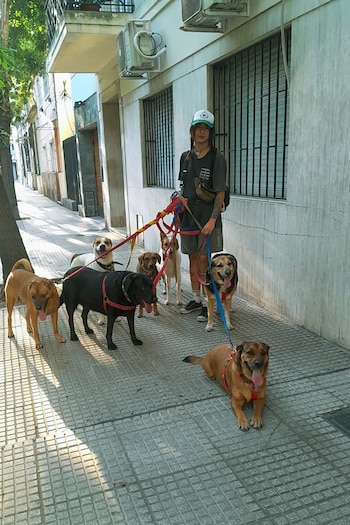 Liam Fundación Empujar