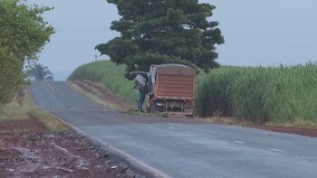 El conductor del camión será