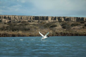 Las represas se están construyendo