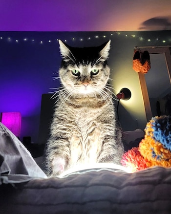 Desde que era una cachorro