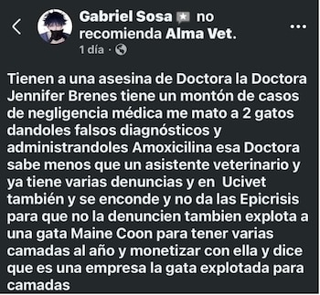 Publicaciones en redes sociales atribuidas al sospechoso, donde responsabilizaba a la médica veterinaria por la muerte de sus mascotas días antes de la agresión (Cortesía: Repetrel).