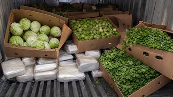 Un camión con vegetales ocultaba 1.277 kilos de presunta metanfetamina valuados en más de USD 25 millones