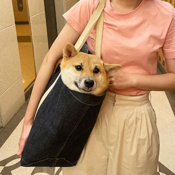 Pasa los días junto a