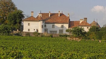 Gonzalo Hevia Baillères egresó de