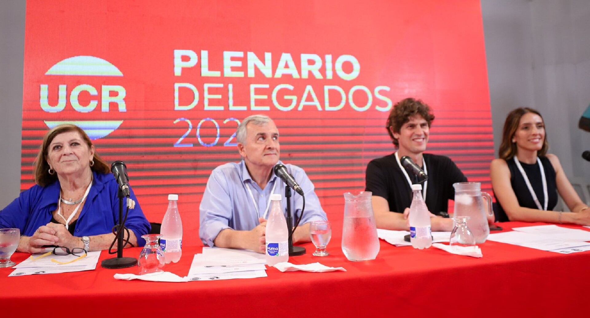 La UCR deberá elegir un nuevo presidente el próximo 12 de diciembre. No hay candidatos para suceder a Martín Lousteau