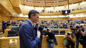 El Senado llevará a Pedro