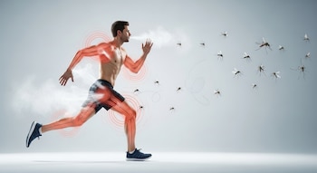 Ilustración de hombre atlético en carrera, con calor corporal marcado en rojo y vapor de sudor, y un enjambre de mosquitos que se dirigen hacia él.