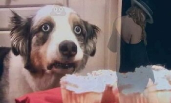 (Foto: captura de pantalla)