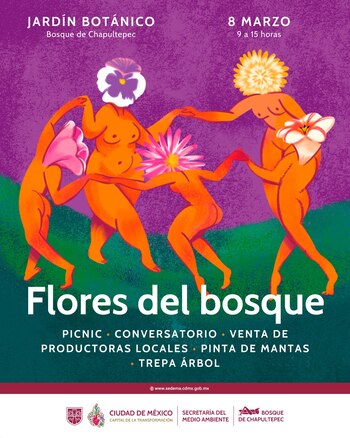 Sedema anunció actividades culturales y