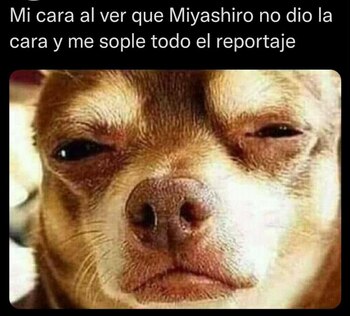 Memes por los ampays de