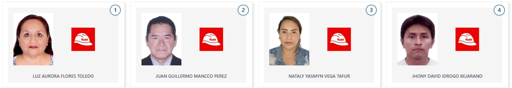 Candidatos a la Cámara de Diputados de Ahora Nación (Voto Informado - JNE)