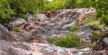 ALAMOS- MEXICO - SONORA - 03022022.jpg
