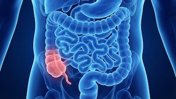 El misterio del apéndice: cuál es su función y por qué la evolución lo conservó