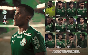 Palmeiras vs. Fluminense