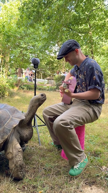 Una tortuga muy interesada en