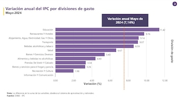 Educación (11,42%) fue la división