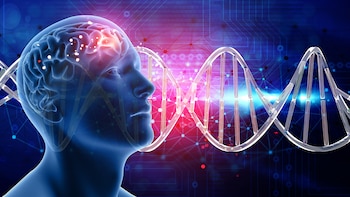 El sorprendente papel de los