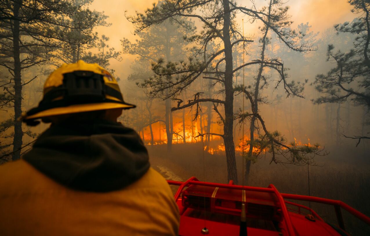 La productividad marina podría incrementarse hasta un 40% en verano debido a la fertilización por incendios, según el estudio (AP News)