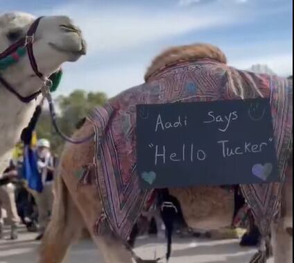 En el evento participaron 3.000 vehículos, 5.000 personas y algunos animales como camellos. (Captura de pantalla KCTV5)