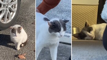 Gus pasó de vivir en