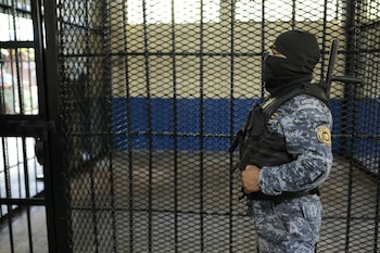 Vista lateral de un agente de seguridad con uniforme de camuflaje, chaleco táctico y pasamontañas, de pie detrás de una reja metálica, con luz de ventana en el fondo