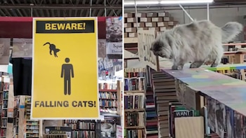 El letrero que pusieron en