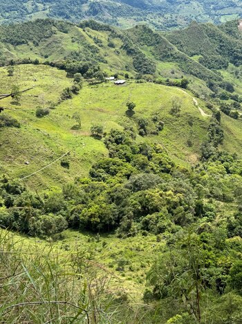 vEsta es la región en