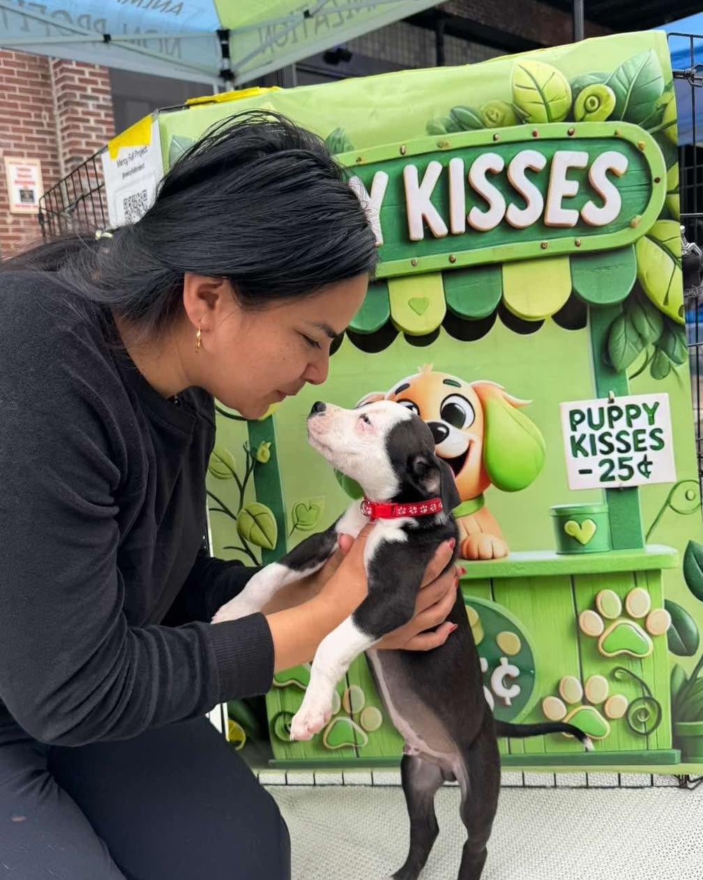 La fundadora Heydi Acuna denuncia que las llamadas por animales abandonados tras arrestos migratorios se han multiplicado por cinco en los últimos meses en Tampa (Instagram: @mercyfullproject).