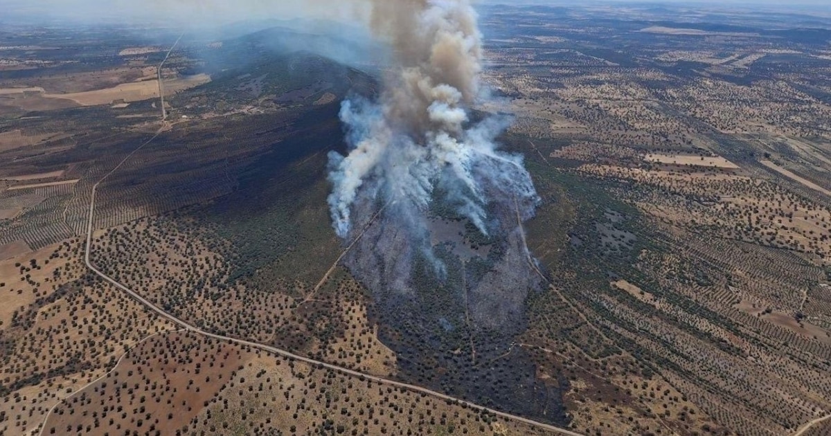 Incendio forestal en Castuera moviliza siete helicópteros y tres hidroaviones en España Incendio forestal en Castuera moviliza siete helicópteros y tres hidroaviones en España