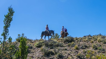 Las cabalgata son ideales para