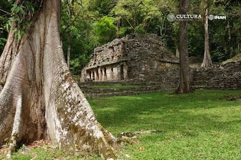 Primer plano de un tronco de árbol con raíces anchas. Detrás, un edificio antiguo de piedra entre césped y vegetación densa. Logotipos de Cultura e INAH