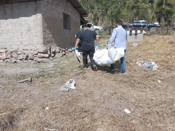 Las ciencias forenses permitieron identificar plenamente a Lexi Dubón y resolvieron un caso que estuvo oculto por casi cuatro años. (Foto: Redes sociales)