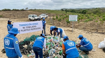 Personas con chalecos y sombreros azules de la ONU recogen residuos plásticos en una zona costera, con vehículos de la ONU y un área de reforestación al fondo.