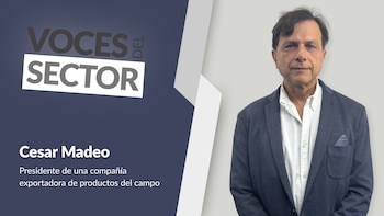 El desafío logístico detrás de cada fruta argentina que llega a Europa