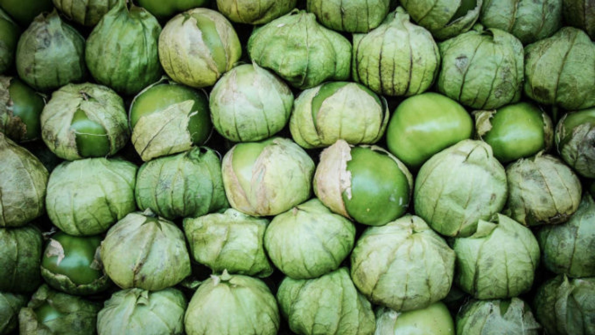 (Secretaría de Agricultura y Desarrollo Rural)