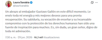La embajadora en Reino Unido se pronunció sobre el estado de salud de Gustavo Gallón - crédito @laurisarabia/X