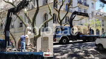 20 de noviembre de 2020: