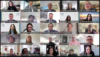 Una cuadrícula de videollamada captura