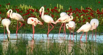 El test busca ser practicado