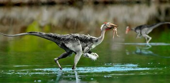 Ilustración de Pelecanimimus en el