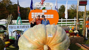 Una calabaza de más de 1.400 kilos rompió un récord Guinness que había sido establecido apenas una semana antes