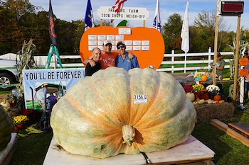 La nueva calabaza más pesada del mundo, con un peso de 1431,5 kg, cultivada por Ron Wallace, de Rhode Island (Crédito: Guiness World Records)