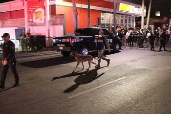 Evil y Ecko son parte del equipo de rescatistas de la Secretaría de Marina (Foto: Twitter / @webcamsdemexico)