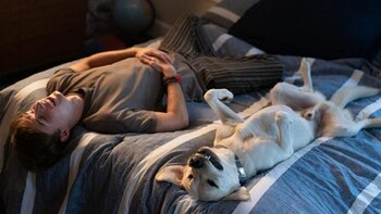 Stephen Herek es el director